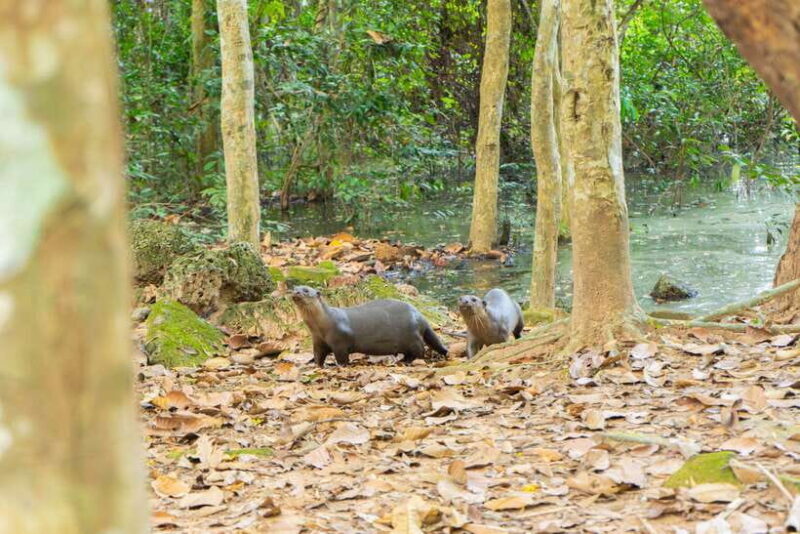 Siem Reap: Angkor Sunset Bike & Boat Tour w/ Drinks & Snacks - FAQ