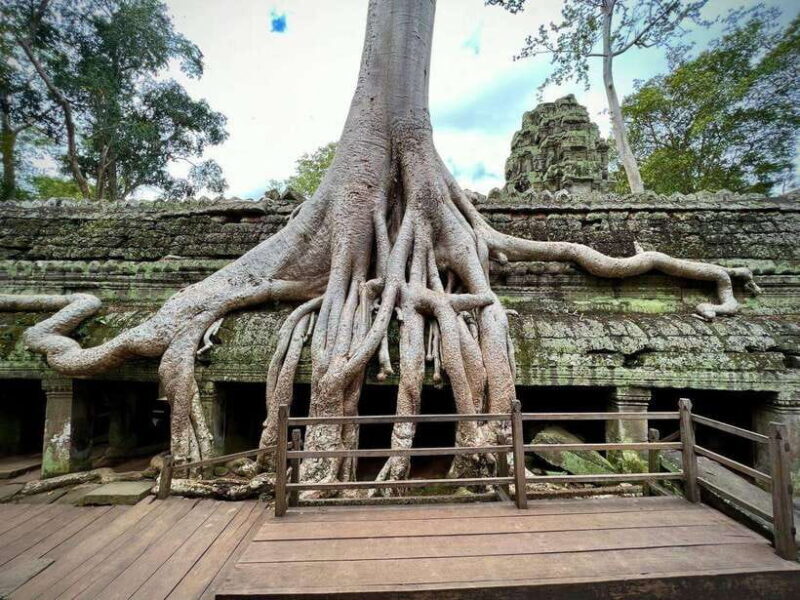 Siem Reap: Angkor Wat Admission Ticket - The Experience of Visiting Angkor Wat
