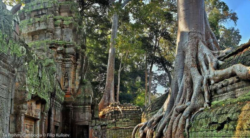 Siem Reap: Angkor Wat: Small-Group Sunrise or Sunset Tour - Final Thoughts: Who Should Consider This Tour?