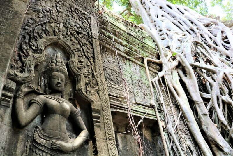 Siem Reap: Angkor Wat with German or English Guided Tour - Who Should Consider This Tour?
