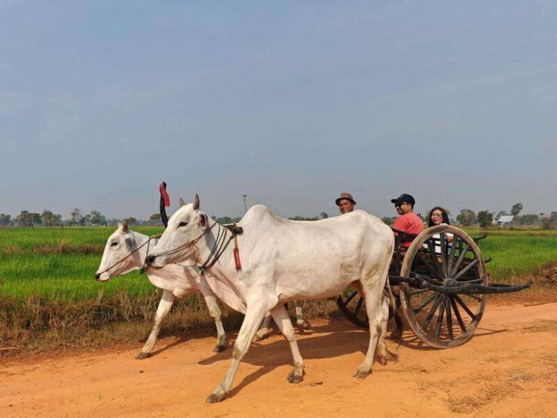 Siem Reap: Authentic Village Tour with Ox Cart Ride - The Day’s Itinerary – Practical Details
