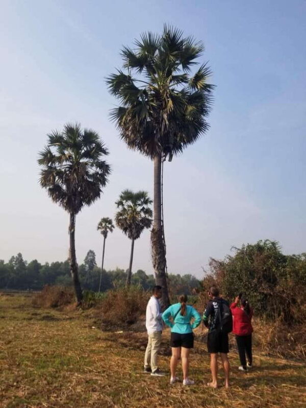 Siem Reap: Authentic Village Tour with Ox Cart Ride - Why This Tour is Valuable