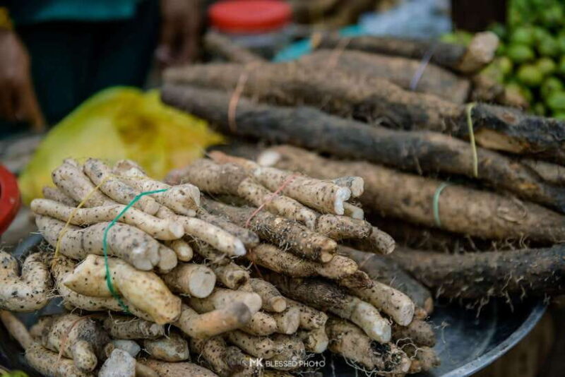 Siem Reap: Authentic Village Tour with Ox Cart Ride - Final Thoughts