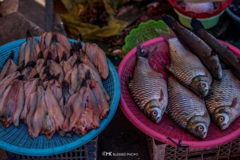 Siem Reap: Authentic Village Tour with Ox Cart Ride - FAQs