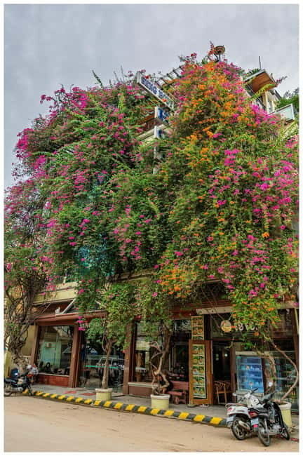 Siem Reap: Battambang Day Trip with French Tour Guide - FAQ