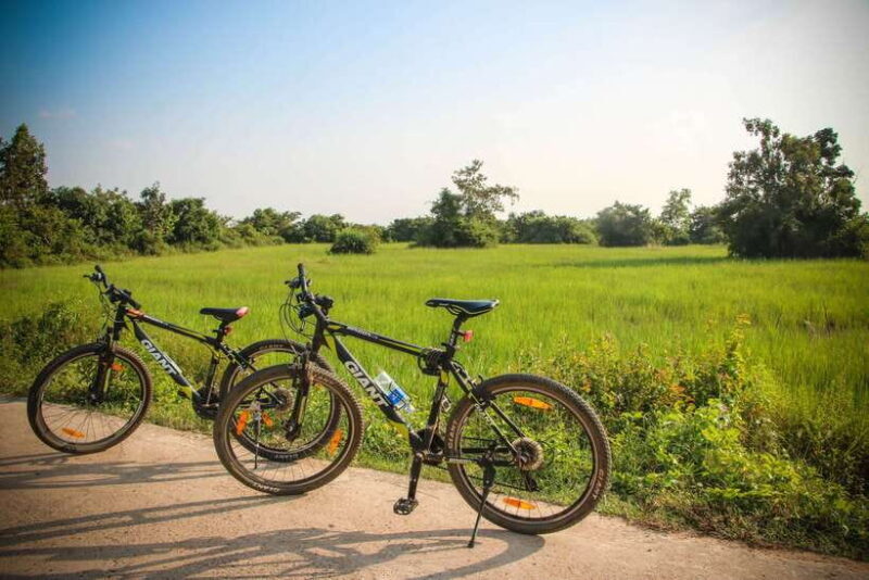 Siem Reap: Countryside Cycle and Local Village Life Tour - An In-Depth Look at the Siem Reap Countryside Cycling Tour