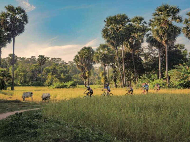 Siem Reap: Countryside Guided Tour by Bike and E-Bike - Exploring Siem Reap’s Countryside by Bike and E-Bike: A Genuine Local Experience