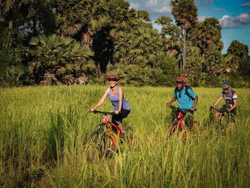 Siem Reap: Countryside Guided Tour by Bike and E-Bike - Who Will Love This Tour?
