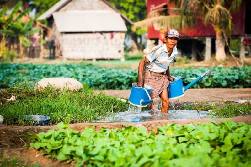 Siem Reap: Countryside Guided Tour by Bike and E-Bike - The Sum Up