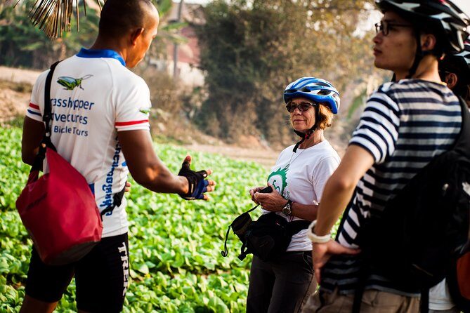 Siem Reap Countryside Guided Tour by Bike and E-Bike with Snacks - Final Thoughts: Who Will Love This Tour?