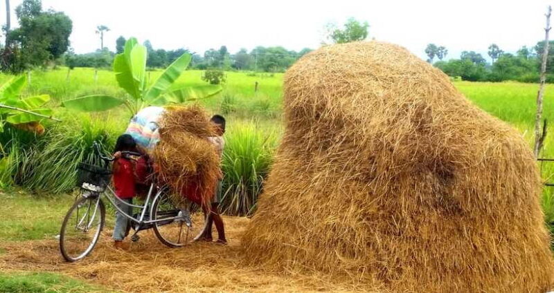 Siem Reap: Countryside Jeep Tour 3 hours - Practical Details and Considerations