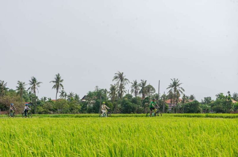 Siem Reap: Countryside Sunset Bike Ride - An In-Depth Look at the Experience