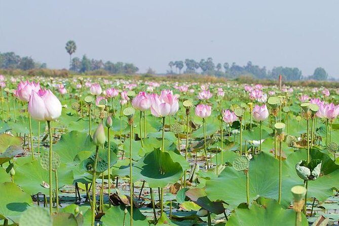 Siem Reap Countryside Sunset Jeep Tour - Half-day - Authentic Experiences and Review Insights