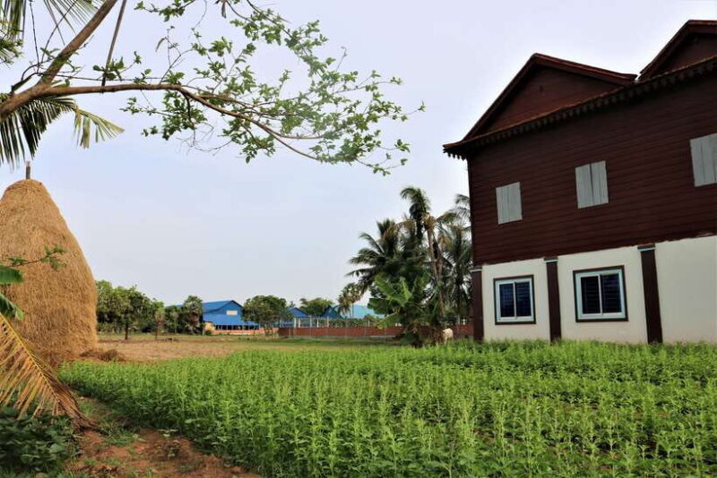 Siem Reap: Eco-Quad Bike Experience - Who Will Enjoy This Tour?