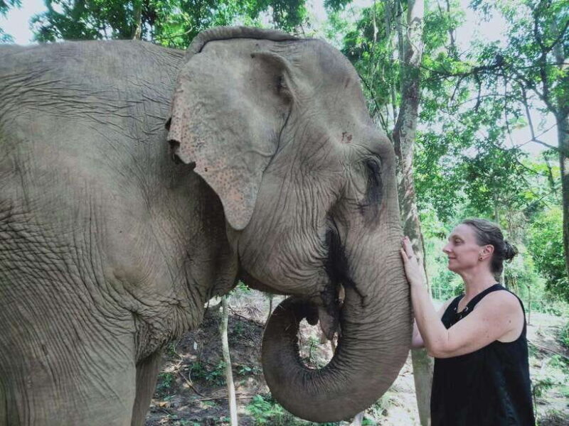 Seim Reip Rats Siem Reap: Elephants & Apopo Rat Demining Private Trip