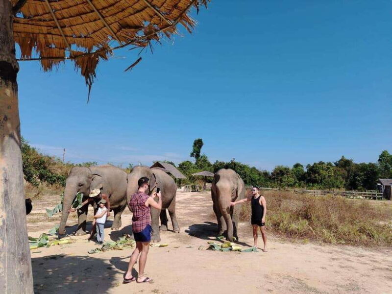 Siem Reap: Elephants & Apopo Rat Demining Private Trip - Frequently Asked Questions