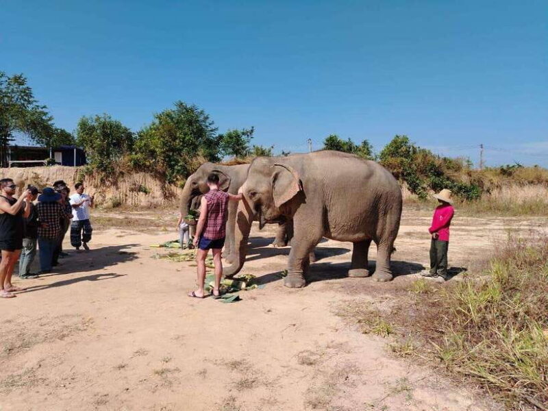 Siem Reap: Elephants & Apopo Rat Demining Private Trip - Final Thoughts