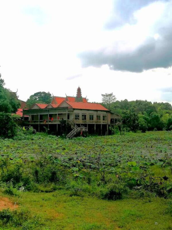 Siem Reap: Fishing in the rice fields, in the villages of Siem Reap - An In-Depth Look at the Experience