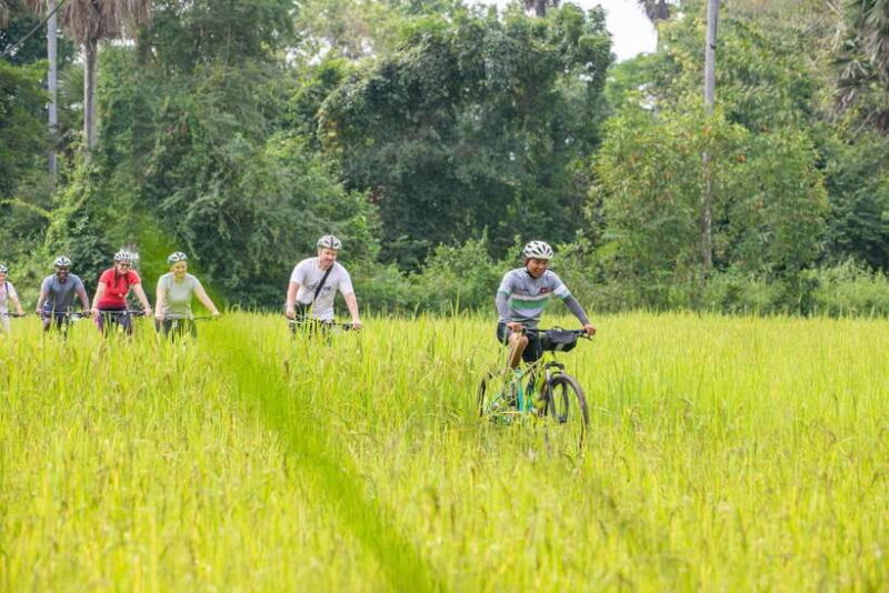 Siem Reap: Guided Countryside Bike Tour - A Word of Caution