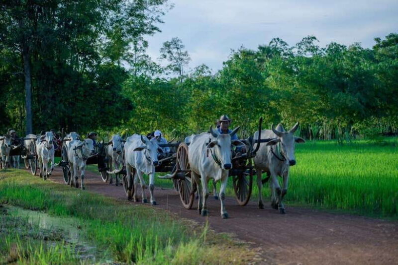Siem Reap: Hands-on Cambodia Cooking Class and Market Tour - Who Should Consider This Experience?