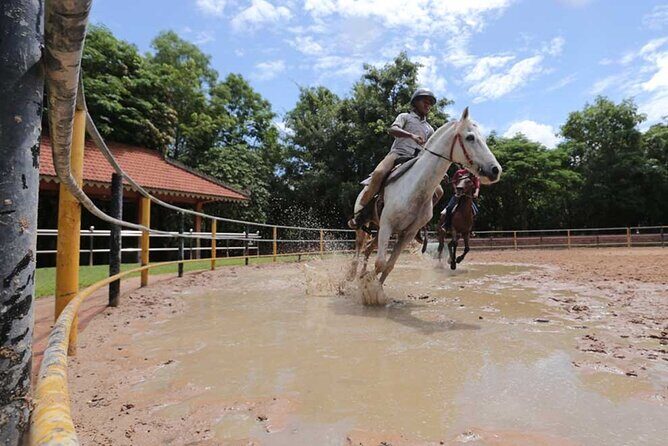 Siem Reap Happy Horse Riding - Key Points