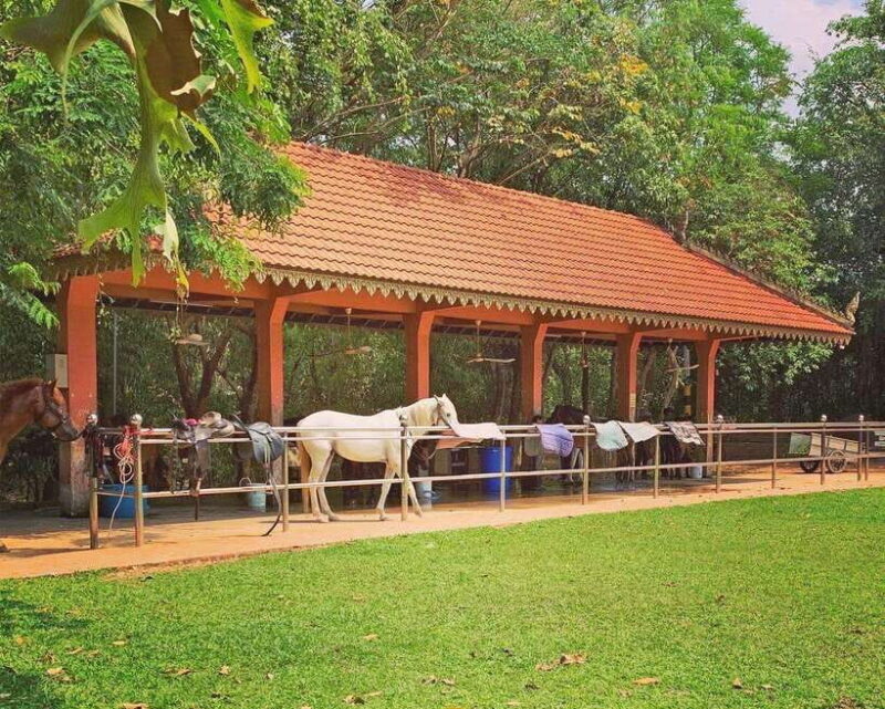 Siem Reap Happy Horse Riding Free Pick-up & Drop-off - Key Points