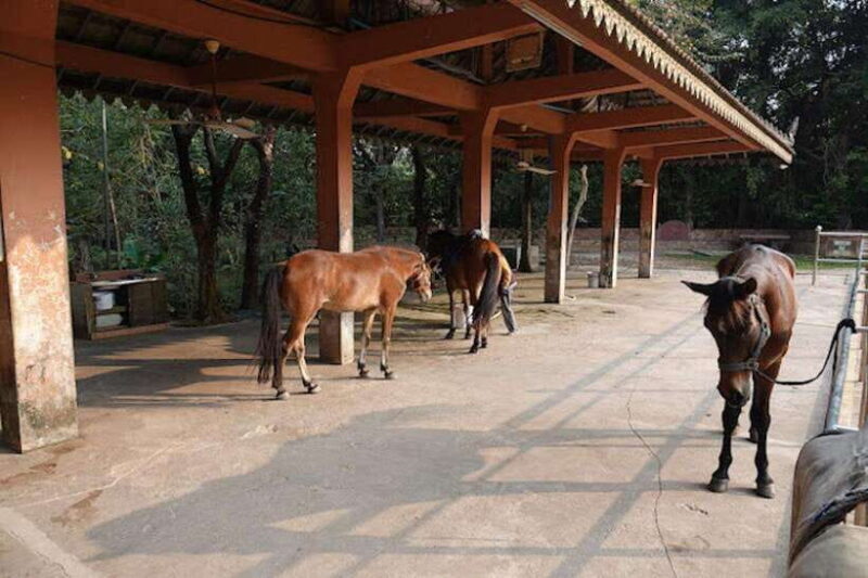Siem Reap Happy Horse Riding Free Pick-up & Drop-off - Final Thoughts