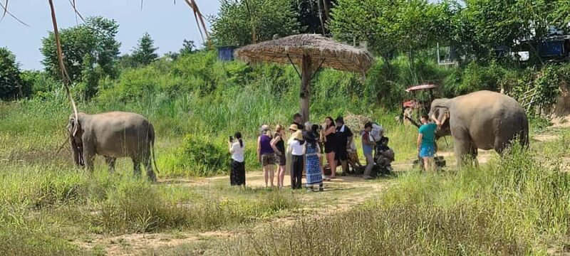 Siem Reap: Kulen Elephant Forest Guided Tour - What’s Included and How It Works