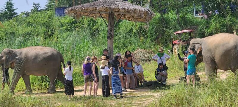 Siem Reap: Kulen Elephant Forest Guided Tour - Authentic Encounters and Ethical Focus