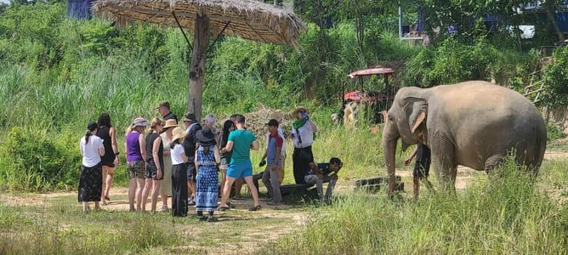Siem Reap: Kulen Elephant Forest Guided Tour - The Sum Up