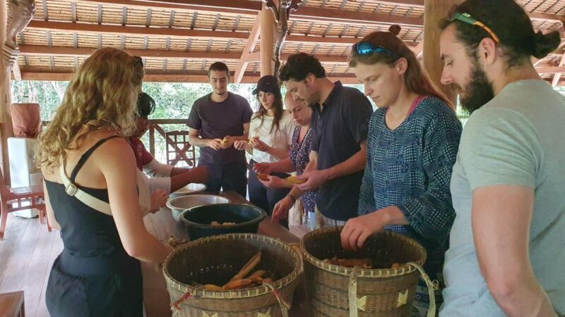 Siem Reap: Kulen Elephant Forest Guided Tour - FAQ