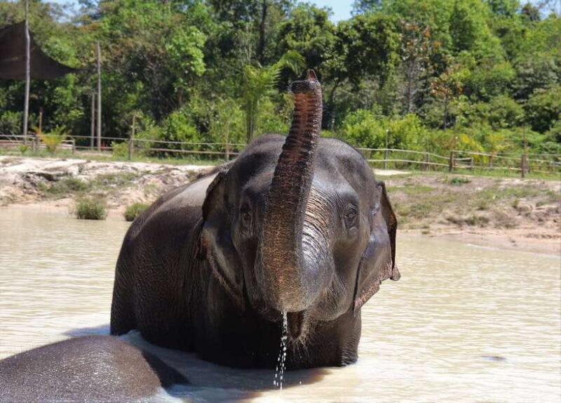 Siem Reap: Kulen Elephant Forest & Tonlesap Lake - FAQ