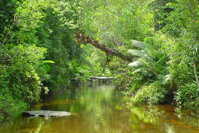 Siem Reap: Kulen Waterfall and 1000 Lingas River Private Tour - FAQ