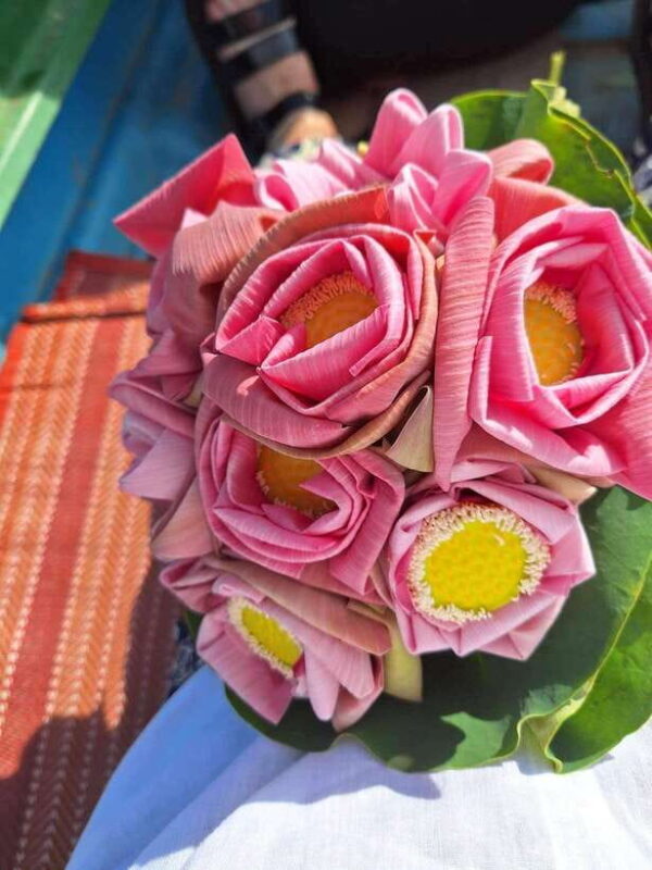 Siem Reap Lotus Silk Farm Tour with Pick Up downtown - Who Is This Tour Best For?