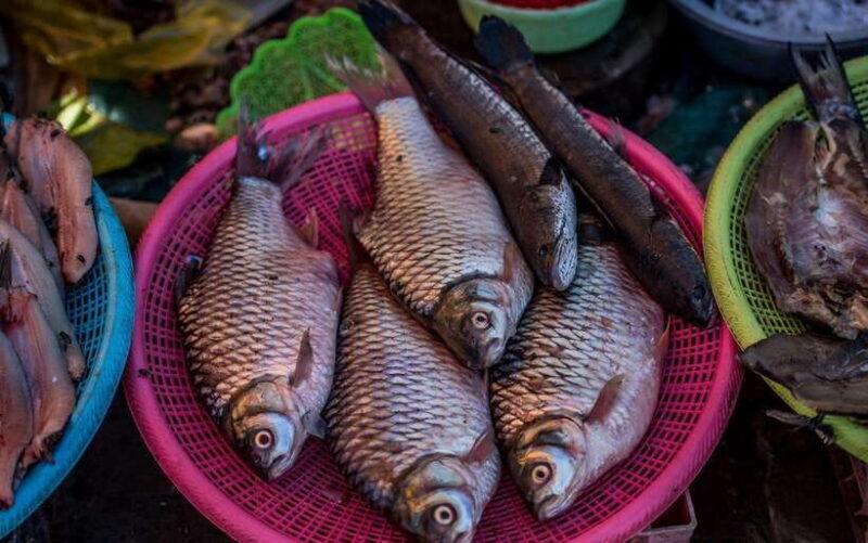 Siem Reap: Night Market Street Food Tour with Dinner - Introduction: A Food Tour That Shows You the Heart of Siem Reap