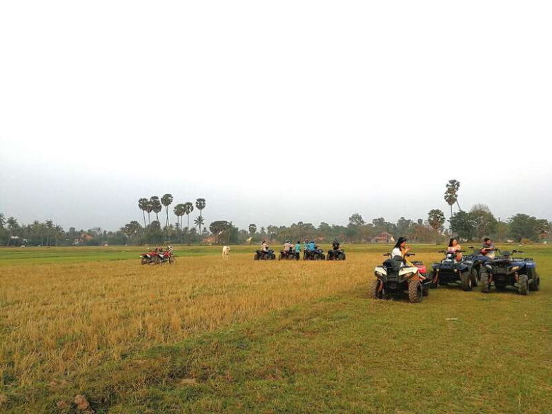 Siem Reap Quad Bike Countryside Tour - The Sunset over Paddy Fields