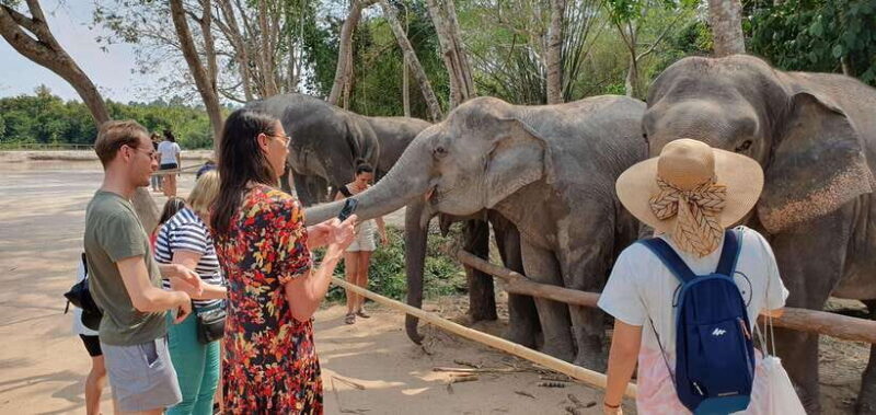 Siem Reap: Small Group Tour of Kulen Elephant Forest - Practical Details & Value