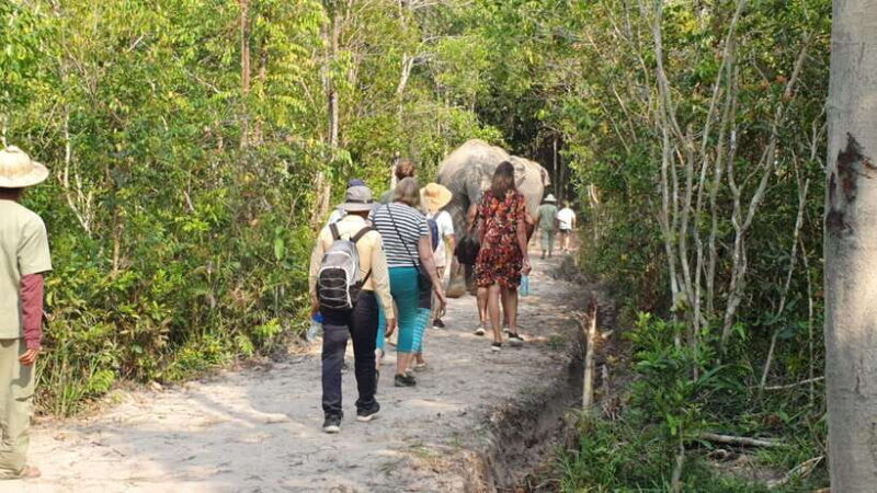 Siem Reap: Small Group Tour of Kulen Elephant Forest - Who Should Consider This Tour?