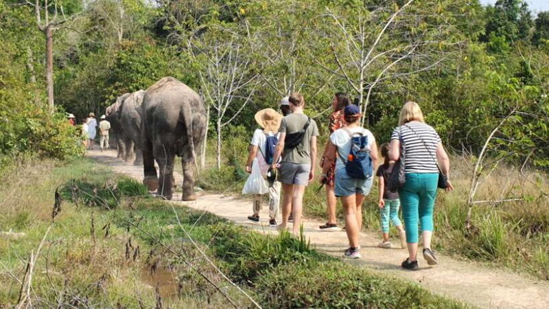 Siem Reap: Small Group Tour of Kulen Elephant Forest - FAQ
