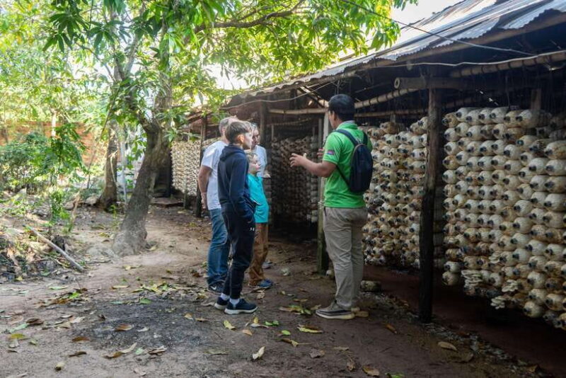 Siem Reap: Sunset Guided Vespa Tour & Local Villages - Key Points