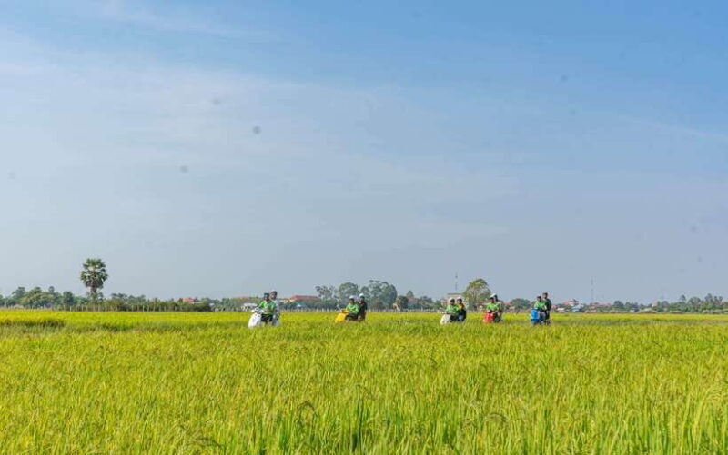 Siem Reap: Sunset Guided Vespa Tour & Local Villages - Authentic Experiences Revealed