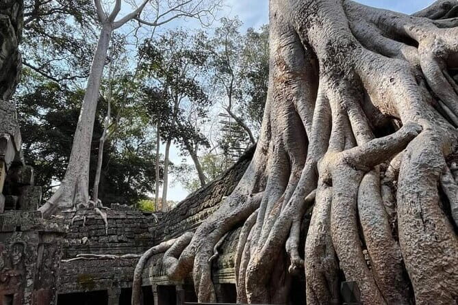 Siem Reap Temple Tuktuk Tour: Explore Angkor Wat and beyond. - Duration and Flexibility