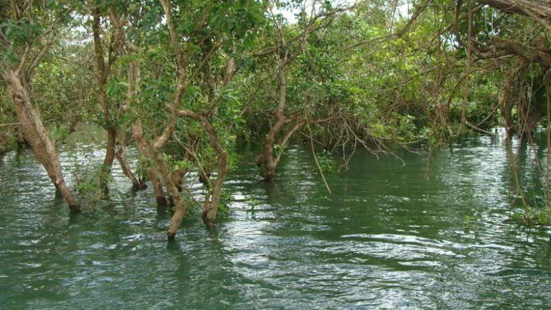 Siem Reap: Tonle Sap, Kampong Phluk & Floating Village Tour - FAQ
