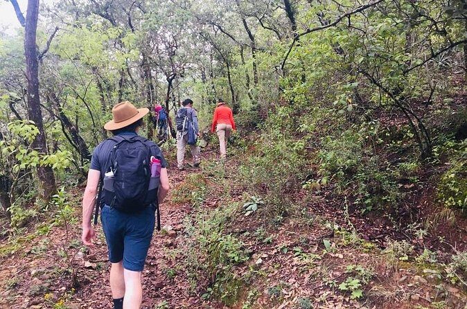 Sierra Norte 1 Day Guided Hiking - What to Consider Before Booking