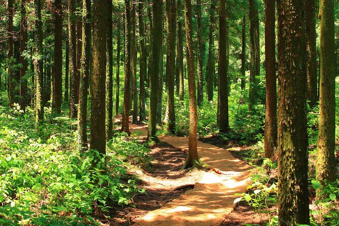 Sierra Norte 1 Day Guided Hiking - Who This Tour is Best For