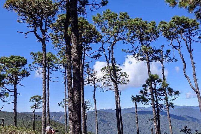 Sierra Norte 1 Day Guided Hiking - Final Thoughts