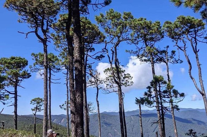 Sierra Norte 1 Day Guided Hiking - Frequently Asked Questions