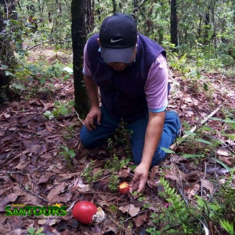 Sierra Norte: Eco Adventure Tour - Artesanía: Crafting Wooden Grinders