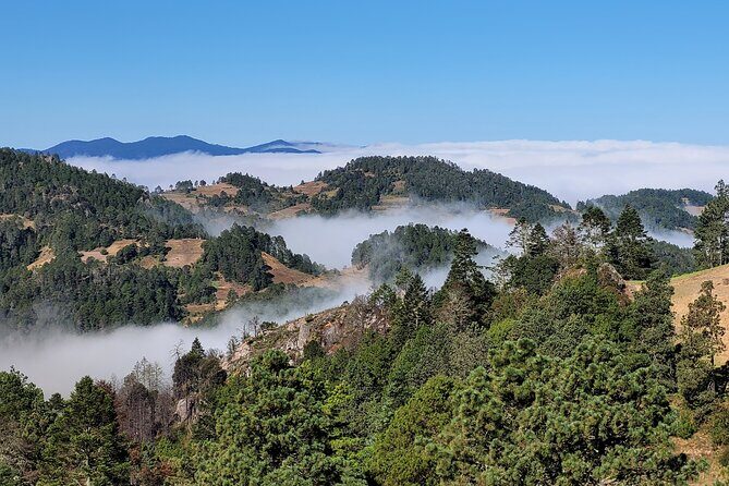 Sierra Norte Hike and Indigenous Village Full-Day Adventure - An In-Depth Look at the Sierra Norte Hike and Village Experience