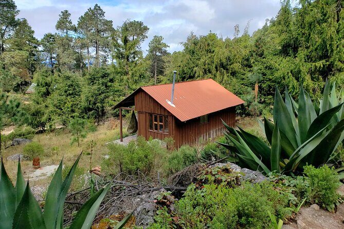 Sierra Norte Hike and Indigenous Village Full-Day Adventure - Frequently Asked Questions